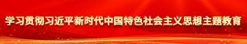 美女扣操视频网站学习贯彻习近平新时代中国特色社会主义思想主题教育